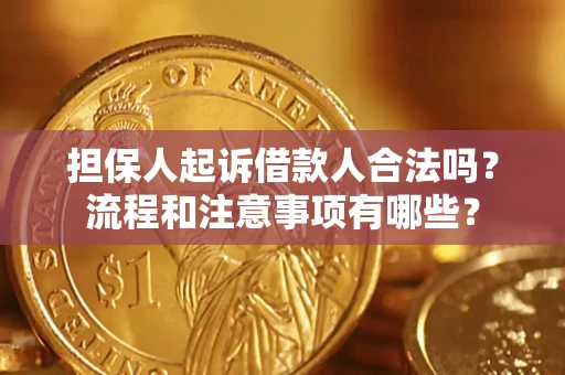 武汉担保人起诉借款人合法吗？流程和注意事项有哪些？