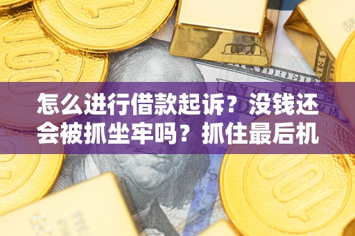 武汉怎么进行借款起诉？没钱还会被抓坐牢吗？抓住最后机会！