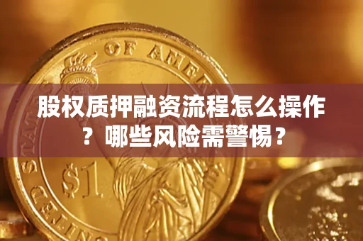 武汉股权质押融资流程怎么操作？哪些风险需警惕？