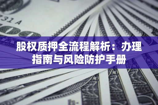 武汉股权质押全流程解析：办理指南与风险防护手册
