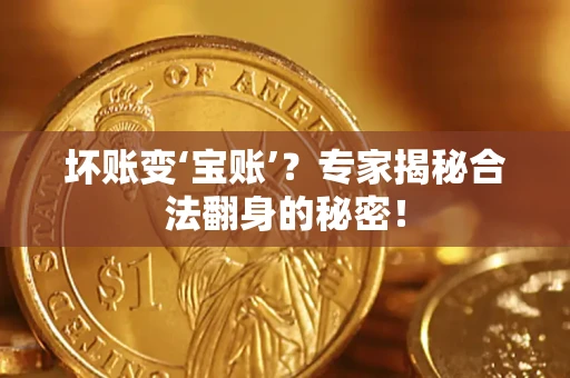武汉坏账变‘宝账’？专家揭秘合法翻身的秘密！