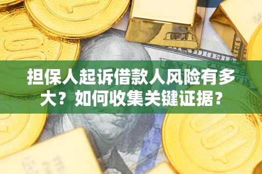 武汉担保人起诉借款人风险有多大？如何收集关键证据？