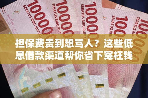 武汉担保费贵到想骂人？这些低息借款渠道帮你省下冤枉钱