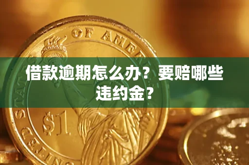 武汉借款逾期怎么办？要赔哪些违约金？