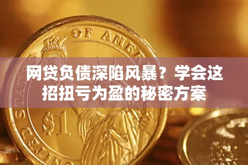 武汉网贷负债深陷风暴？学会这招扭亏为盈的秘密方案