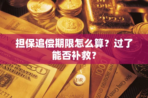 武汉担保追偿期限怎么算？过了能否补救？